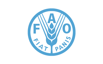 fao.org
