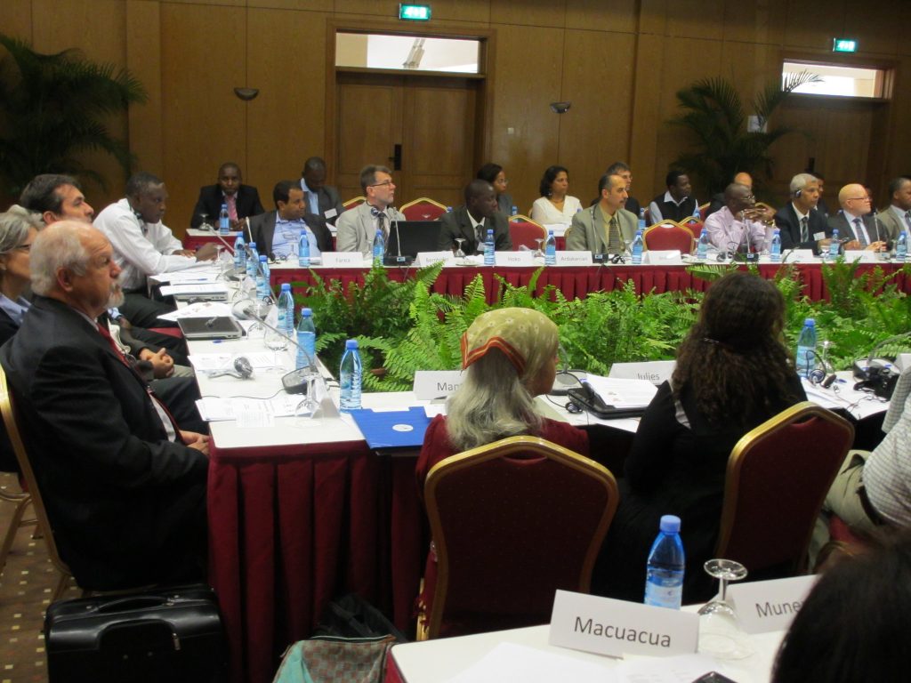 Regional Workshop Maputo May 2013 (3)