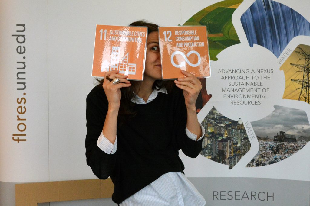 UN Day Dresden 2017 (UNU-FLORES Open House)