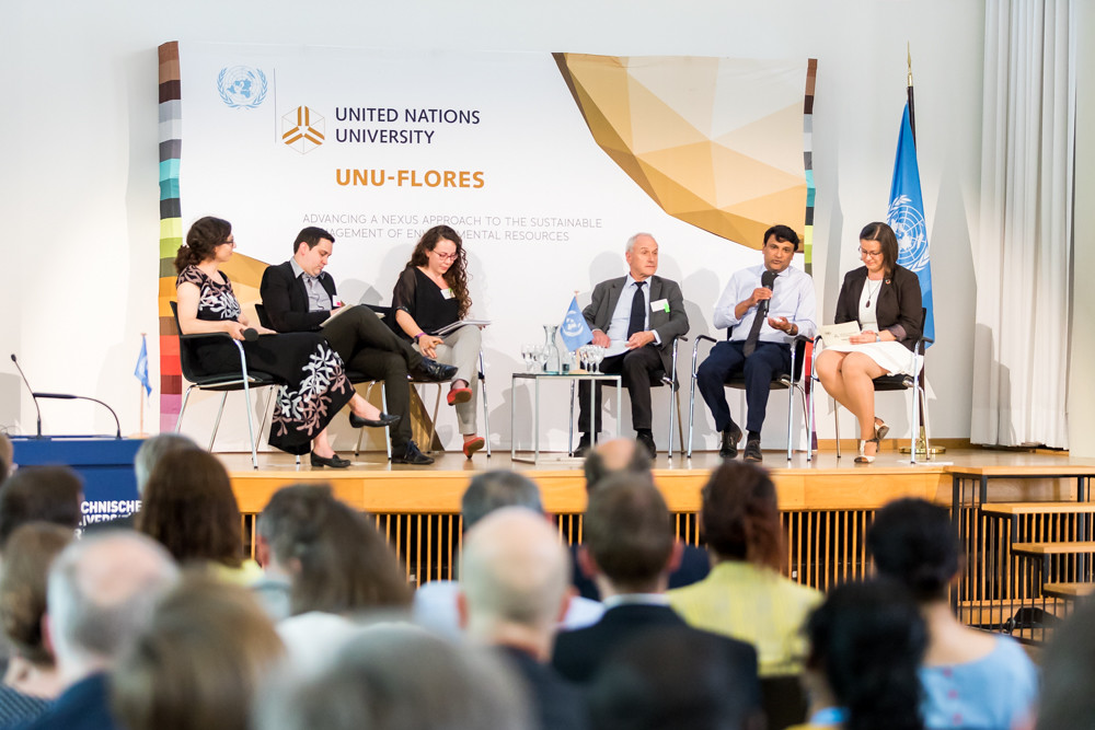 International Dialogue on Working at the Science-Policy Interface