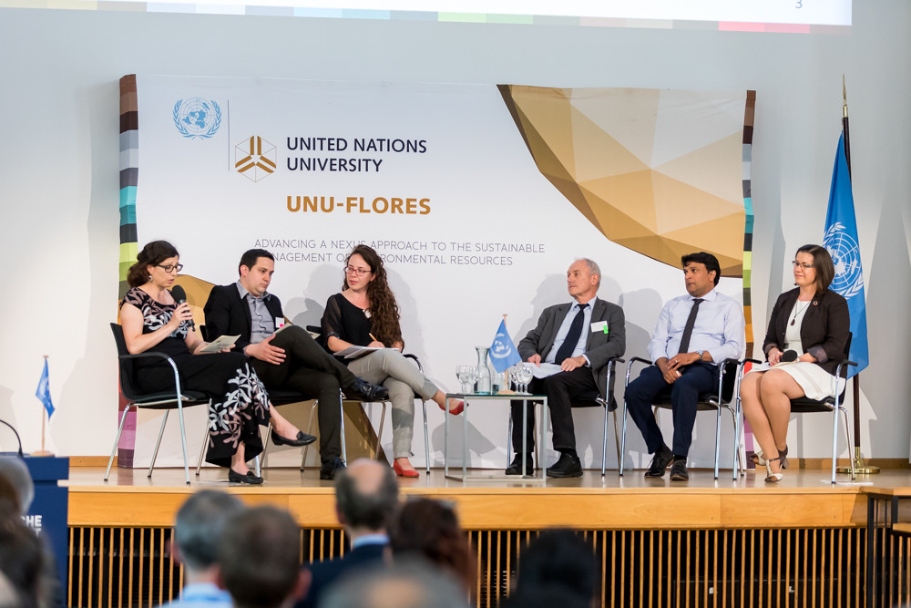 International Dialogue on Working at the Science-Policy Interface